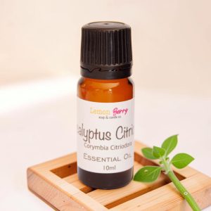 Eucalyptus Citriodora Essential Oil (10ml)